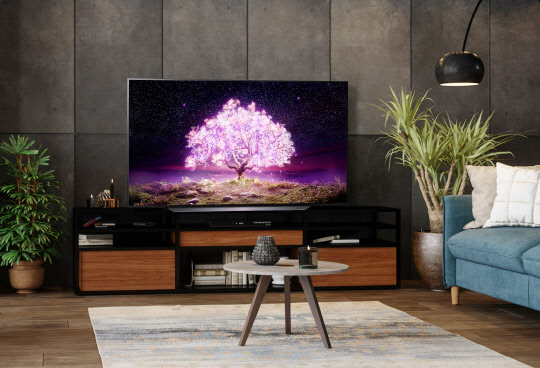LG 올레드 TV. <LG전자 제공>